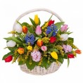 Корзина с цветами Подснежники - Тюльпаны